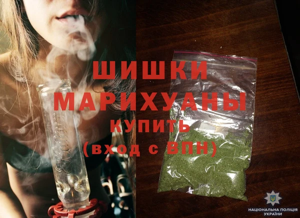 шишки Беломорск