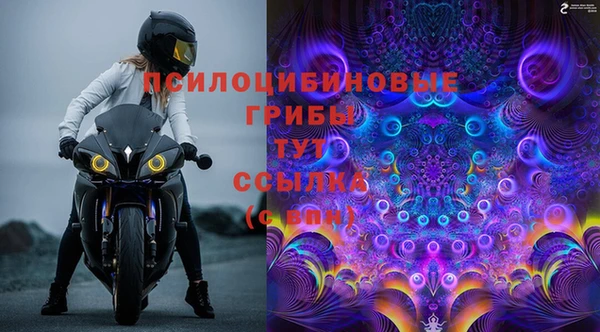 ГАЛЛЮЦИНОГЕННЫЕ ГРИБЫ Балабаново