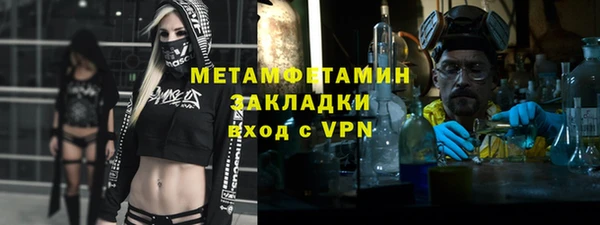 шишки Беломорск