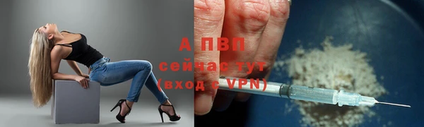 гидра Покачи