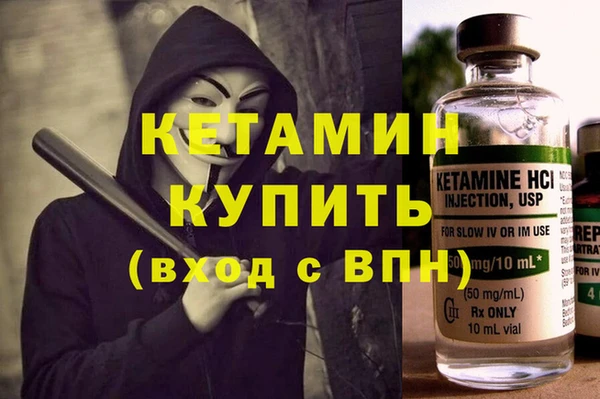 шишки Беломорск