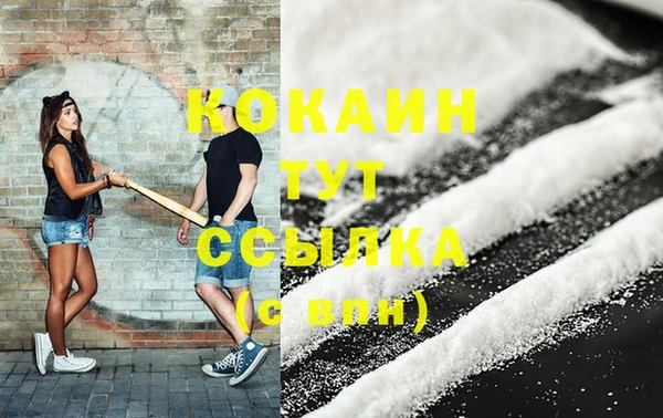 гидра Покачи